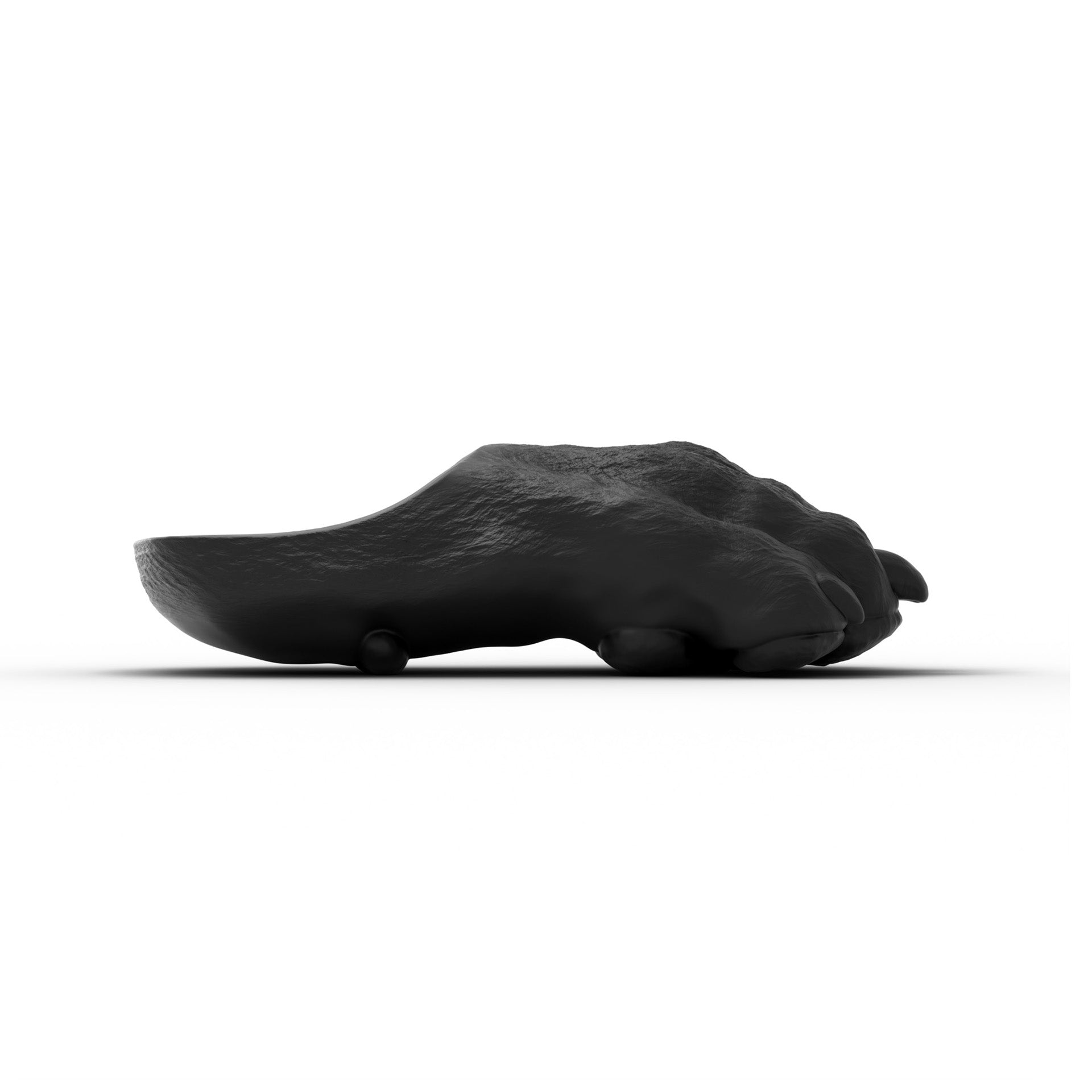 Panther Paws - Sale Ends Today